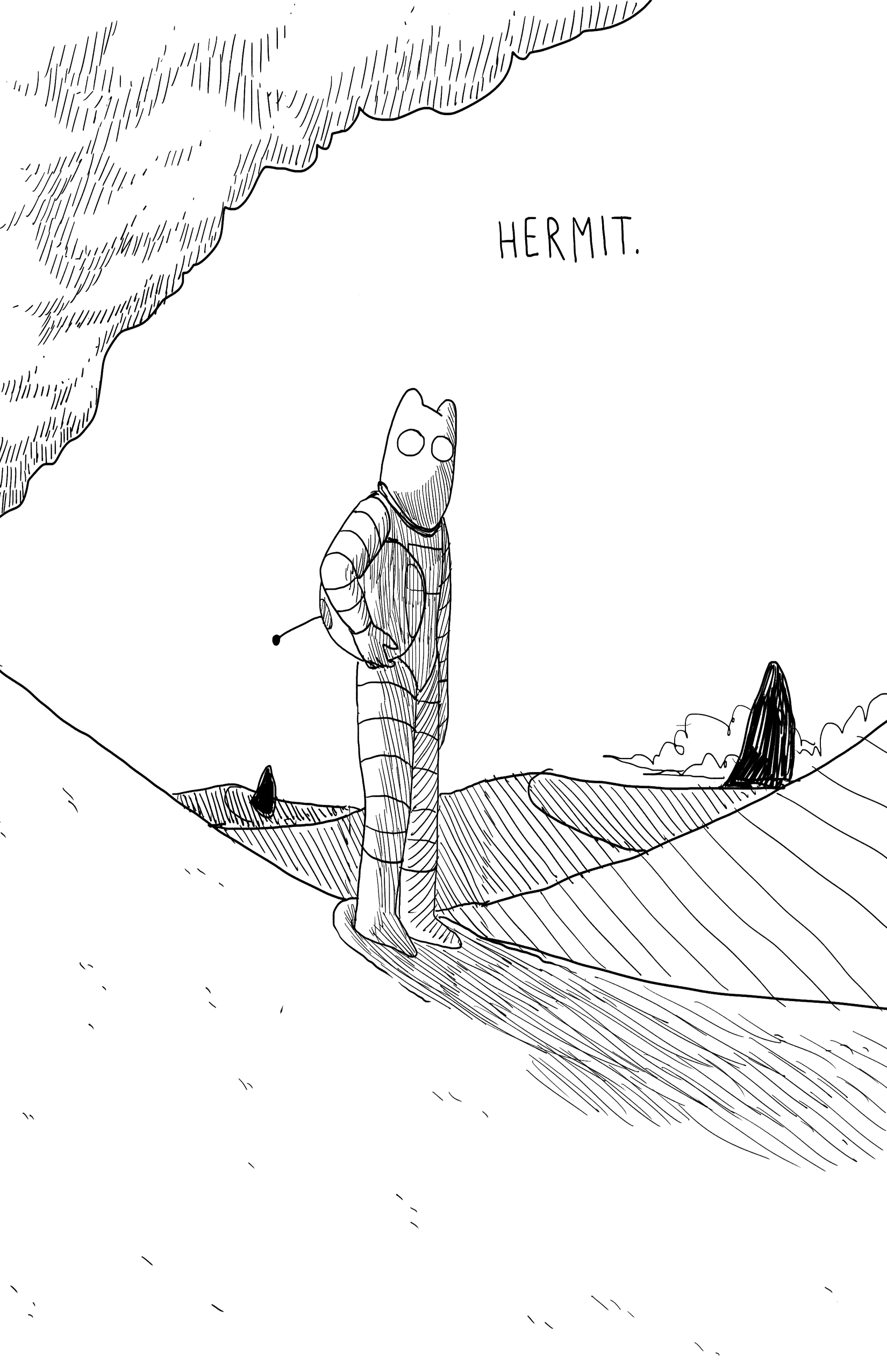 hermit — thirty birds